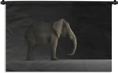 Produktbild von MuchoWow® Wandteppich Wandbehang Elefant - Tiere - Licht 90x60 cm Tapisserie Dekoration Wandtuch - Wandskulpturen - Bildteppich