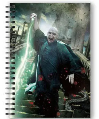 Image de SD Toys Carnet Harry Potter avec effet 3D Voldemort Poster