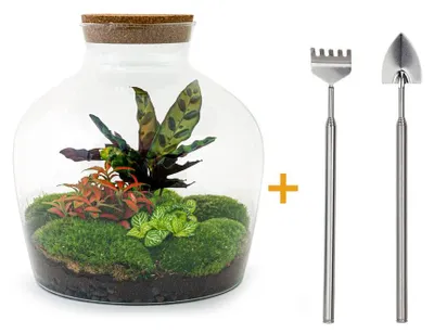 Produktbild von Flaschengarten „Fat Joe“ – rot – DIY-Terrarium für Pflanzen – 30 cm – inklusive Rechen und Schaufel