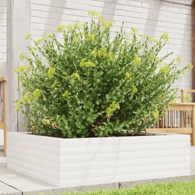 Produktbild von "Spring Sale"Pflanztopf/Blumenkübel Moderne - Pflanzkübel - Blumentopf Weiß 80x80x23cm Massivholz Kiefer Promotion879207 - Beete