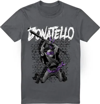 Productafbeelding van Teenage Mutant Ninja Turtles - T-shirt voor heren, model TV6536 (4XL), kleur: antraciet