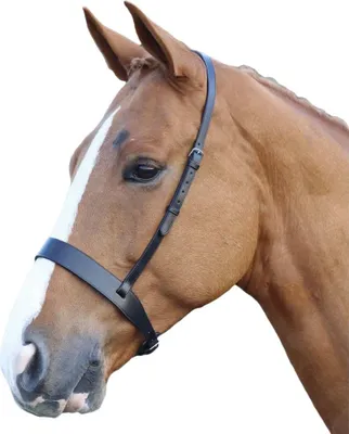 Produktbild von Blenheim - Nasenriemen Hunter, Leder ER173 (Cob) (Schwarz)