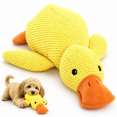 Image de Jouet pour chien, forme d'un canard, jouet qui couine, peluche, interactif, 25 x 28 cm, jaune
