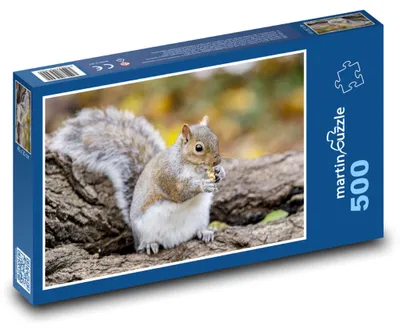 Zdjęcie produktu dla martinpuzzle - Puzzle 500 elementów - Veverka