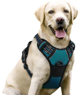 Produktbild von Hundegeschirr Anti Zug No Pull Verstellbar Dunkelgrün L