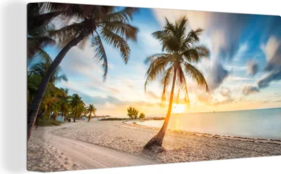 Produktbild von MuchoWow® - Leinwandbilder - Sonnenuntergang - Strand - Palme, Wandbild, Wanddeko Bilder Wohnzimmer, 40x20 cm
