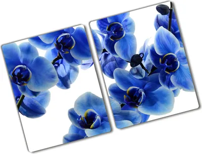 Produktbild von Tulup Glas Herdabdeckplatte - 2x40x52 cm - Glaskeramikkochfeld-Abdeckung Spritzschutz Glasabdeckplatte Kochplattenabdeckung und Schneidebrett - Zweiteilig - Blumen & Pflanzen - Blaue Orchidee - Blau