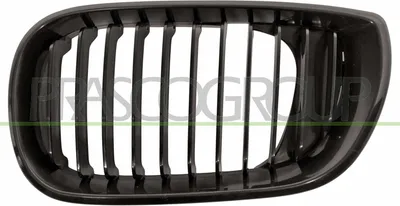 Produktbild von PRASCO BM0202024 Kühlergrill Frontgrill für BMW 3 Limousine (E46) Links