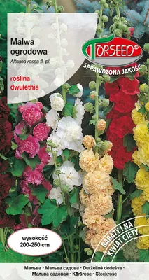 Zdjęcie produktu dla Nasiona malwy ogrodowej - Torseed