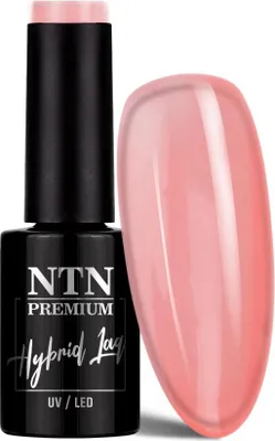 Obrázek produktu pro Ntn Premium Viral barvy hybridní lak 5 g č. 291