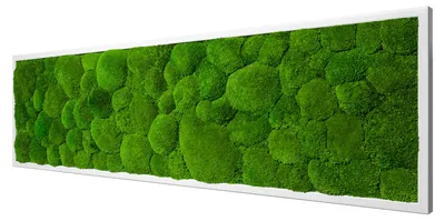 Produktbild von Moosbild Ball Design (140x40, weiß)