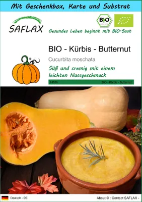 Produktbild von SAFLAX - Geschenk Set - BIO - Kürbis - Butternut - 6 Samen - Mit Geschenk- / Versandbox, Versandaufkleber, Geschenkkarte und Anzuchtsubstrat - Cucurbita moschata