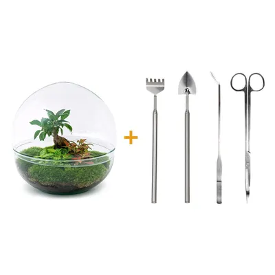 Image de Urbanjngl Set de jardin en bouteille Ficus Ginseng Bonsai Set (Râteau, Pelle, Pince à épiler, Ciseaux) - 30 cm