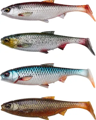 Obrázek produktu pro Savage Gear 3D River Roach Clear Water Mix Smelt-Green Silver-Plotice-Motor Oil UV 8 cm 5 g Gumová nástraha