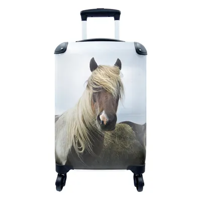 Produktbild von MuchoWow® Koffer Handgepäck Trolley Rollkoffer Kleine Reisekoffer mit 4 Rollen - Pferde - Fell - Gras - Cabin Size < 55x40x23 cm & 55x40x20 cm - Fotokoffer - Kabinenkoffer - Boardgepäck - Reise-Box - Reisekoffer - Reisegepäck - Koffer mit Bild - Trolley für Kinder