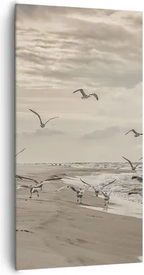 Produktbild von Bild auf Leinwand - Leinwandbild - Einteilig - Möwen Küste Boho - 65x120cm - Wand Bild - Wanddeko - Wandbilder - Leinwanddruck - Bilder - Wanddekoration - Leinwand bilder - Wandbild - PA65x120-4723