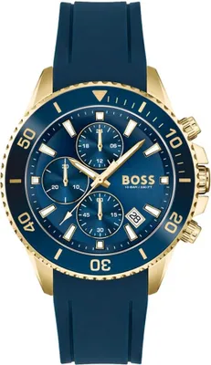 Image de BOSS Montre Homme Chronographe Quartz 1513965