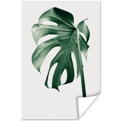 Produktbild von MuchoWow® Poster Monstera - Blätter - Grün - Stilleben 120x180 cm - Kunstposter