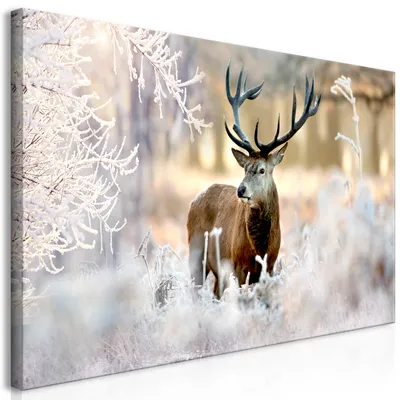 Produktbild von Wandbild Mega XXXL Hirsch 250x125 cm Einteiliger XXL-Format Kunstdruck zur Selbstmontage Leinwandbilder moderne Bilder DIY Wanddekoration Wohnung Deko Deer Landschaft Winter g-C-0057-ak-f