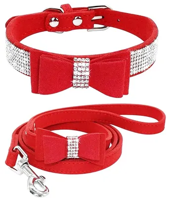 Produktbild von Hundehalsband-Set mit Leine für kleine und mittelgroße Hunde