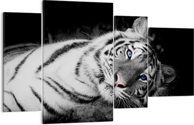 Produktbild von Bild auf Leinwand - Leinwandbild - 4 Teile - Weiß Tiger Schwarz und Weiß - 120x70cm - Wand Bild - Wanddeko - Wandbilder - Leinwanddruck - Bilder - Wanddekoration - Leinwand bilder - DL120x70-4247