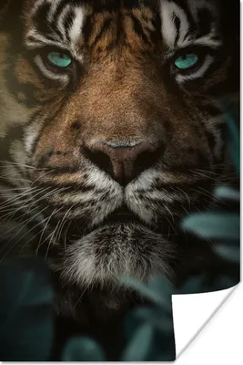 Produktbild von MuchoWow® Poster Tiger - Pflanzen - Dschungel 120x180 cm - Kunstposter