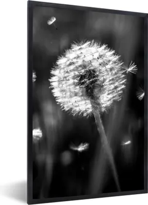 Produktbild von MuchoWow® Gerahmtes Poster Löwenzahn - Schwarz - Weiß - Pflanze 60x90 cm - Poster mit Schwarzem Bilderrahmen Wandposter Rahmen Foto Bilder - Kunst