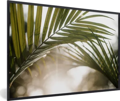 Produktbild von MuchoWow® Gerahmtes Poster Palme - Palmenblatt - Sonne - Sommer 90x60 cm - Poster mit Schwarzem Bilderrahmen Wandposter Rahmen Foto Bilder - Fotorahmen - Foto-Plakat