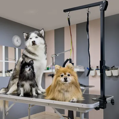 Produktbild von YZNAHRE Haustier Fellpflege Arm mit Klemme Faltbarer Hängematte Höhenverstellbar Haustierpflegearm Fellpflegearm mit Hundepflege Schlaufe und zwei Halterungen ohne Sitzen für Katzen & Hunde
