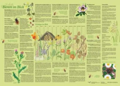 Obrázek produktu pro Erlebnisposter "Bienen im Blick"