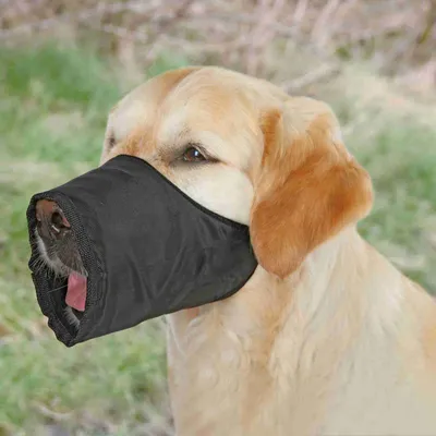 Produktbild von TRIXIE 1924, Hund, Schlaufenmaulkorb, L, Schwarz, Einfarbig, Polyester