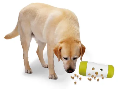 Produktbild von All For Paws Treat Frenzy Roll, interaktives Hundespielzeug