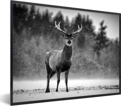 Produktbild von MuchoWow® Gerahmtes Poster Tiere - Hirsche - Winter - Schwarz - Weiß 80x60 cm - Poster mit Schwarzem Bilderrahmen Wandposter Rahmen Foto Bilder - Schwarzem - Mit Gestell