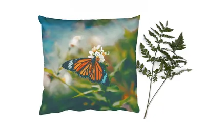 Produktbild von MuchoWow® Zierkissen Sofakissen Wohnzimmer Dekokissen 60x60 cm Schmetterling - Blumen - Garten - Sitzfläche - Foto Polster