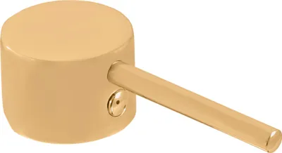 Obrázok produktu pre SEINA - Páčka, Zlatá - kartáčovaná ø35mm KR3513ZK, RAV Slezák