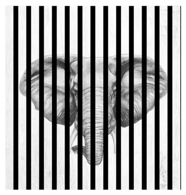 Produktbild von Akustikpaneele mit Digitaldruck Elefant01 19 x 573 x 573 mm Elefant MDF PET-Fasern Wandpaneele Schwarz Weiß 1 Einzelplatte