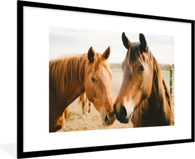 Produktbild von MuchoWow® Gerahmtes Poster Pferd - Strand - Tiere 90x60 cm - Poster mit Schwarzem Bilderrahmen Wandposter Rahmen Foto Bilder - Wanddekoration - Fotos