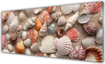 Produktbild von Acrylglasbilder 125x50 Wandbild Druck Muscheln Kunst