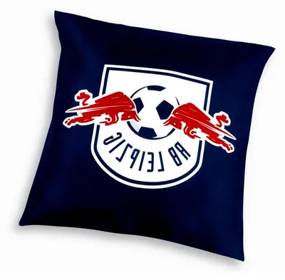 Produktbild von Kissen mit RBL-Logo