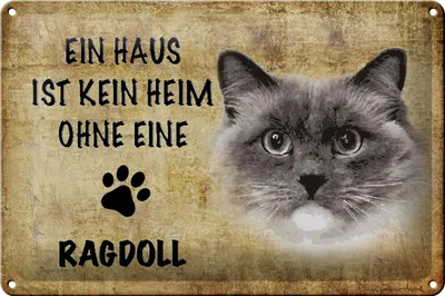 Produktbild von Blechschild Spruch 30x20cm Ragdoll Katze ohne kein Heim
