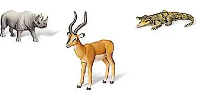 Produktbild von Ravensburger tiptoi® 3-teiliges Set exotische Tiere Afrikas