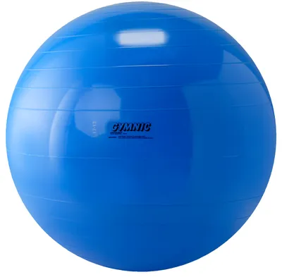 Produktbild von Gymnic Gymnastikball, ø 95 cm