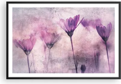 Produktbild von Gerahmtes Poster - Schwarzer Rahmen - Blumen Rosa Vintage - 91,5x61 cm - Wand Bild - Wanddeko - Wandbilder - Kunstposter - Wandposter - Bilderrahmen - Bilder - Kunstdruck - P2BAA91x61-4432
