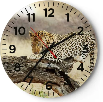 Produktbild von Wanduhr - Rund - Glasuhr - Afrika Leopard Katze Safari - 40x40cm - Schleichendes Uhrwerk - Lautlos - zum Aufhängen bereit - Dekoration Modern - Wanddekoration aus Glas - C4AR40x40-2599