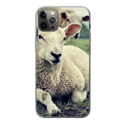Produktbild von MuchoWow® Handyhülle Schutzhülle Hülle für iPhone 13 Pro Max Schaf - Lamm - Gras Silikon Softcase Handy Hülle - Mobiltelefon