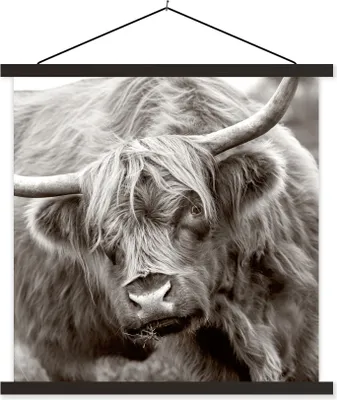 Produktbild von MuchoWow® Textilposter Schottisches Hochlandrind - Schwarz - Weiß - Hörner 40x40 cm mit schwarzem Rahmen - Fotos
