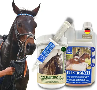 Produktbild von Elektrolyte für das Pferd I SPARSET I Life Natürliche Mineralien Elektrolyt Liquid und Booster Rege
