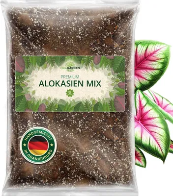 Produktbild von OraGarden Alokasien Erde 3 Liter