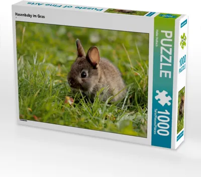 Produktbild von Calvendo Hasenbaby im Gras 1000 Teile Puzzle quer 640x480mm, Hultsch Heike; 7287672