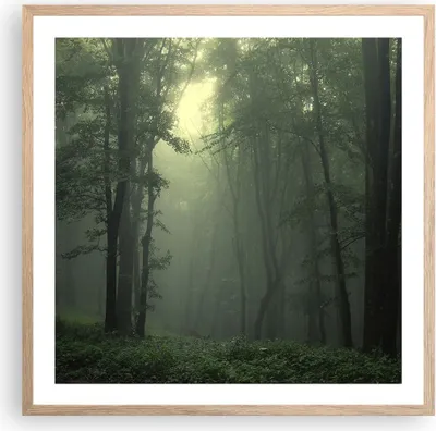 Produktbild von Gerahmtes Poster - Rahmen in heller Eiche - Wald Nebel Baum - 60x60 cm - Wand Bild - Wanddeko - Wandbilder - Kunstposter - Wandposter - Bilderrahmen - Bilder - Kunstdruck - Wandbild - P2NAC60x60-3543